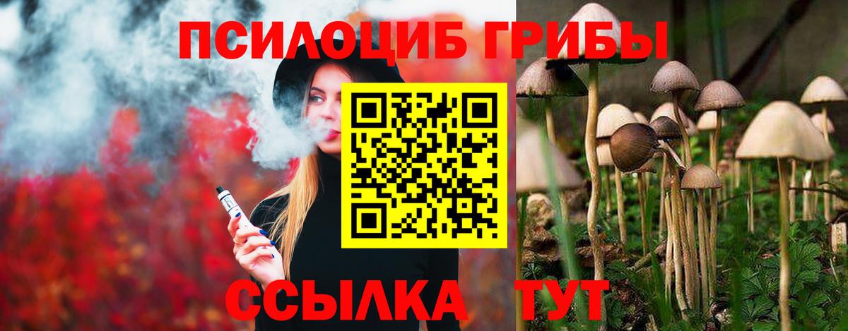 Псилоцибиновые грибы ЛСД Магадан